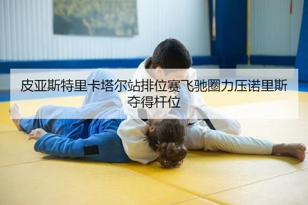 pi-ya-si-te-li-ka-ta-er-zhan-pai-wei-sai-fei-chi-quan-li-ya-nuo-li-si-duo-de-gan-wei-2-934.jpg